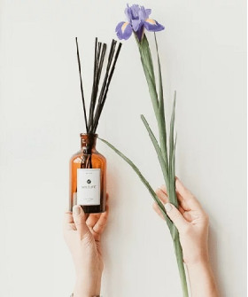 WILDLIFE (ДИКАЯ ПРИРОДА) Аромадиффузор