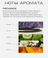 PROVENCE (ПРОВАНС) Аромадиффузор