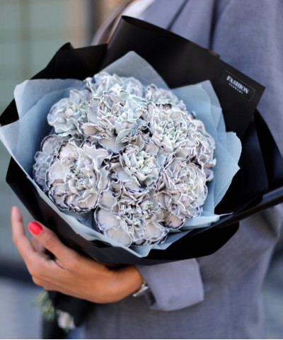 11 диантусов Грей №2851