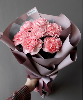 7 пудровых диантусов №4666