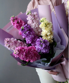 Маттиола 7шт. №2523