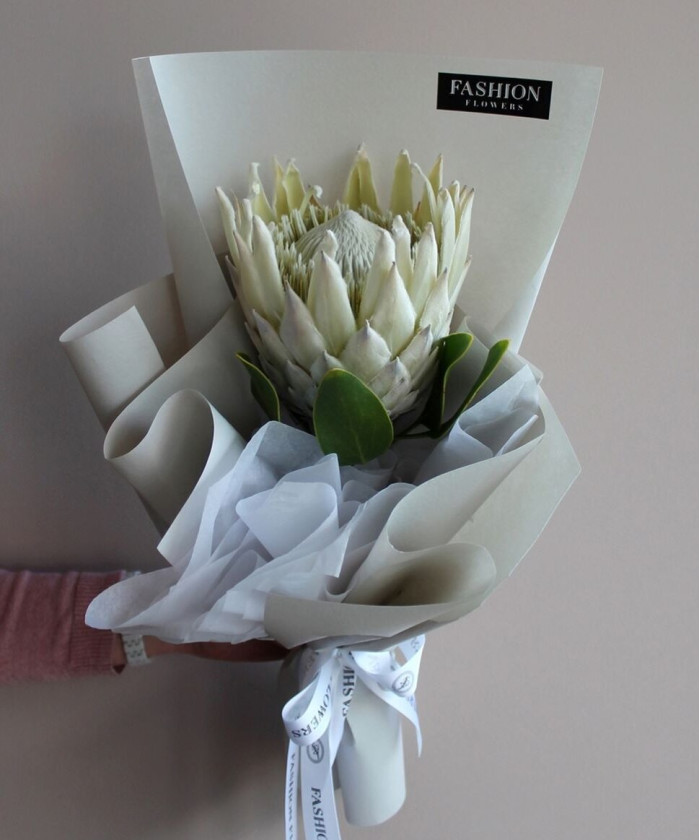 Королевская Протея №2227