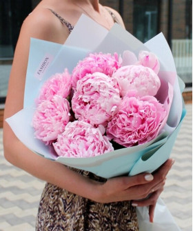 7 розовых пионов Сара Бернар №4661