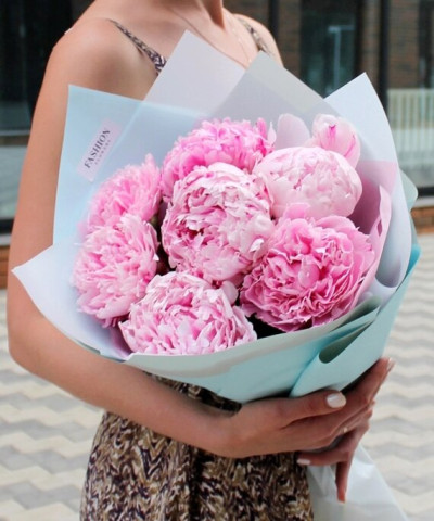 7 розовых пионов Сара Бернар №4661