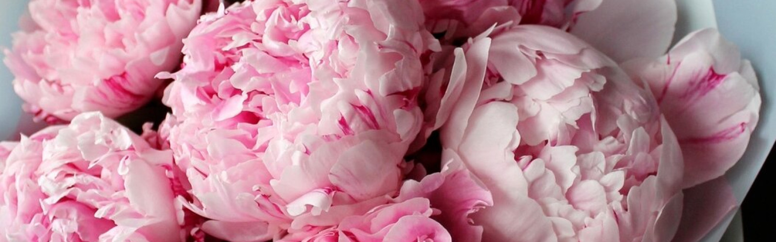 Уход за букетом из пионов: советы для продления свежести и красоты
