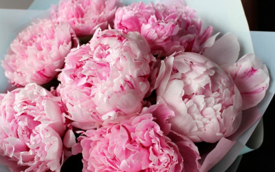 Уход за букетом из пионов