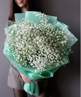 11 веток белой гипсофилы Экселенс №2797