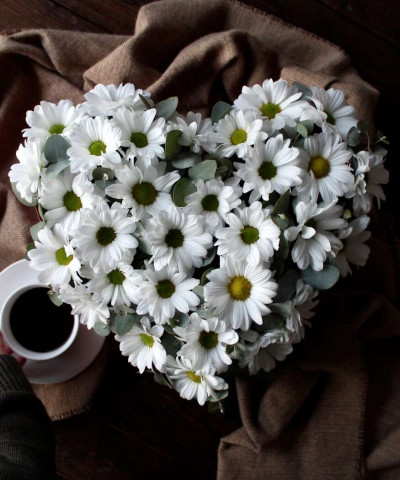 "Ромашковое признание" коробка сердце №2367