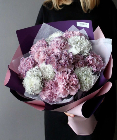 15 диантусов Тинтед Молли №3066