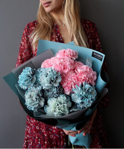 15 розово-голубых диантусов Тинтед №2156