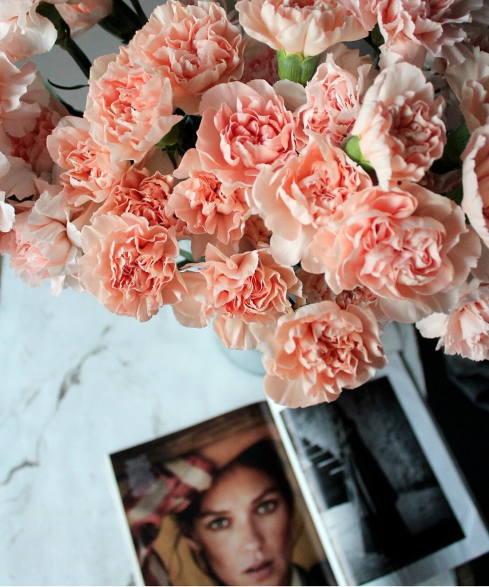 Диантусы персиковые и кремовые, поштучно