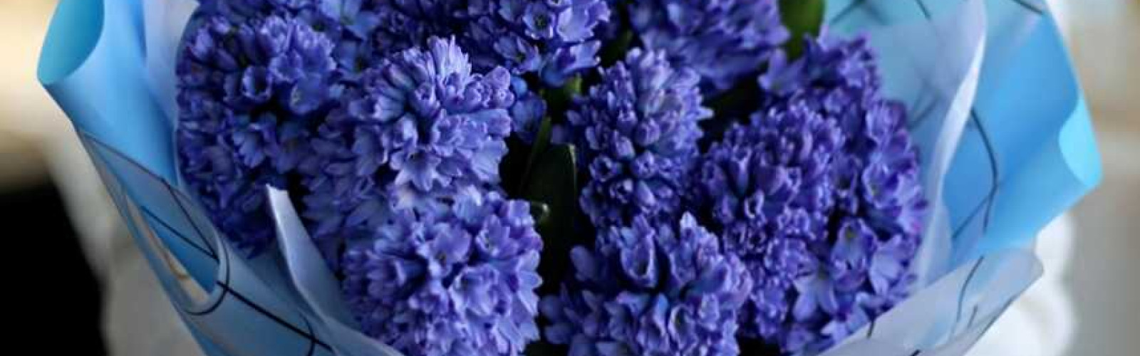 Уход за букетом из гиацинтов: советы для продления свежести и красоты
