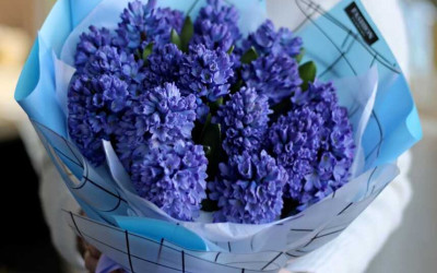 Уход за букетом из гиацинтов