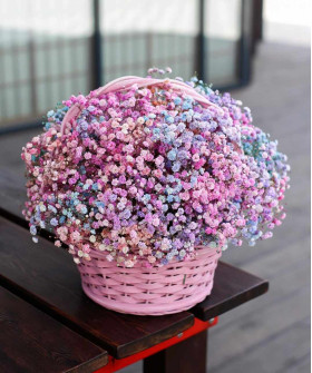 Гипсофила Рейнбоу в корзине "Созвездие" №50195