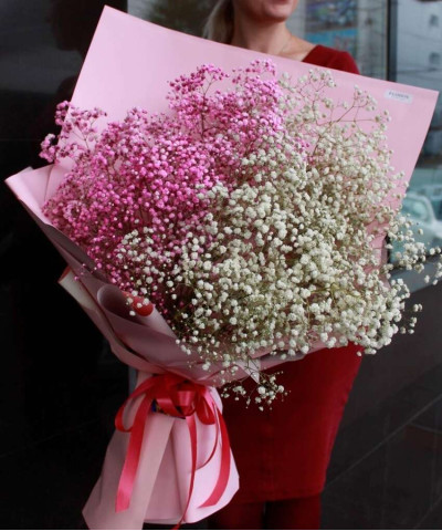 15 белой и розовой гипсофилы №2761