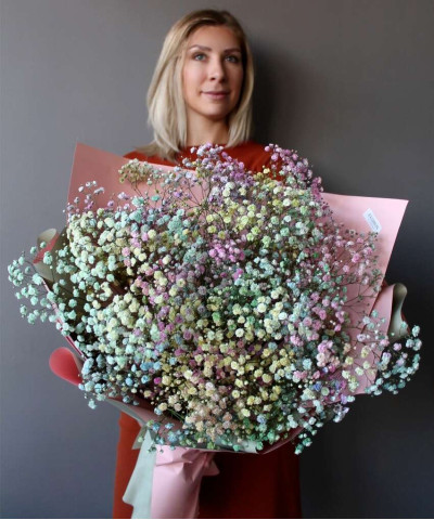 11 веток воздушной гипсофилы Рейнбоу №6278