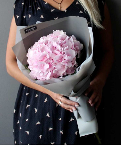 Нежно-розовая гортензия Верена пинк №3064