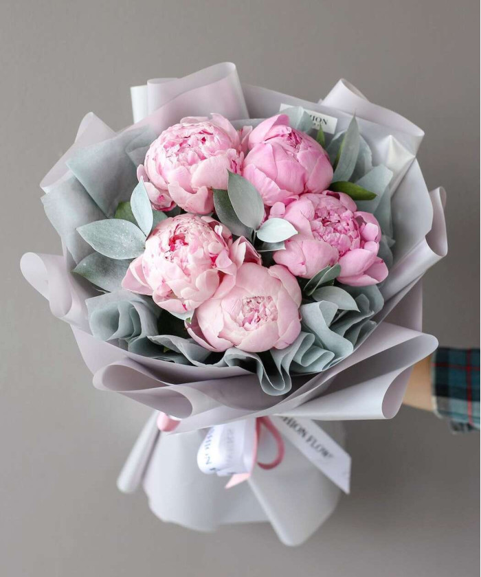 5 розовых пионов Сара бернар №3770