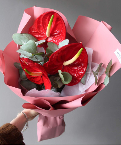 3 красных антуриума Импульс №6778