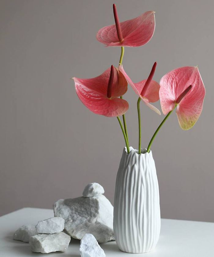 Антуриумы, персиковые и розовые оттенки, поштучно