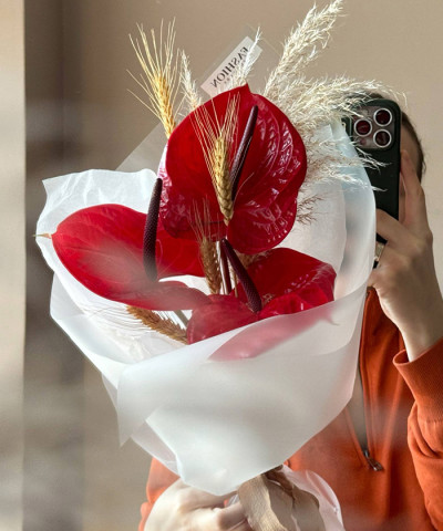 Букет из красных антуриумов "Импульс" №9648