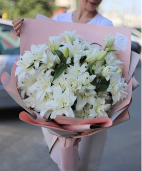 17 белых королевских махровых лилий роузлили Аиша №3012