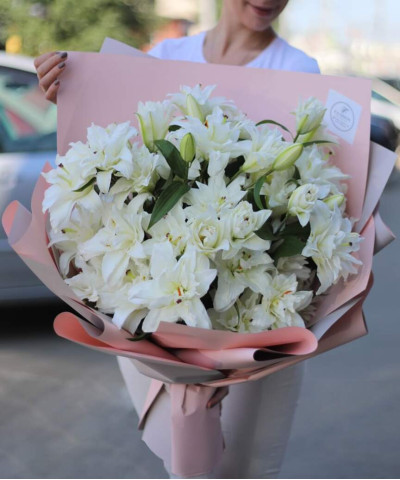 17 белых королевских махровых лилий роузлили Аиша №3012