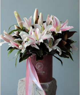 Лилии в бархатном боксе №8678