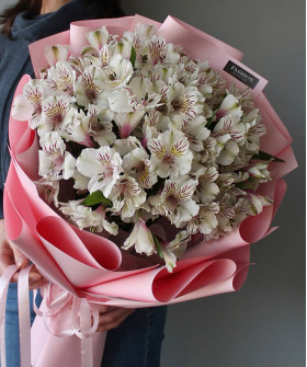 11 белых альстромерий Гималаи №3083