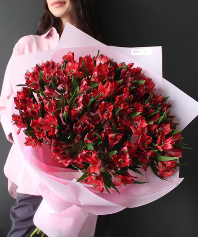 19 красных альстромерий №6465