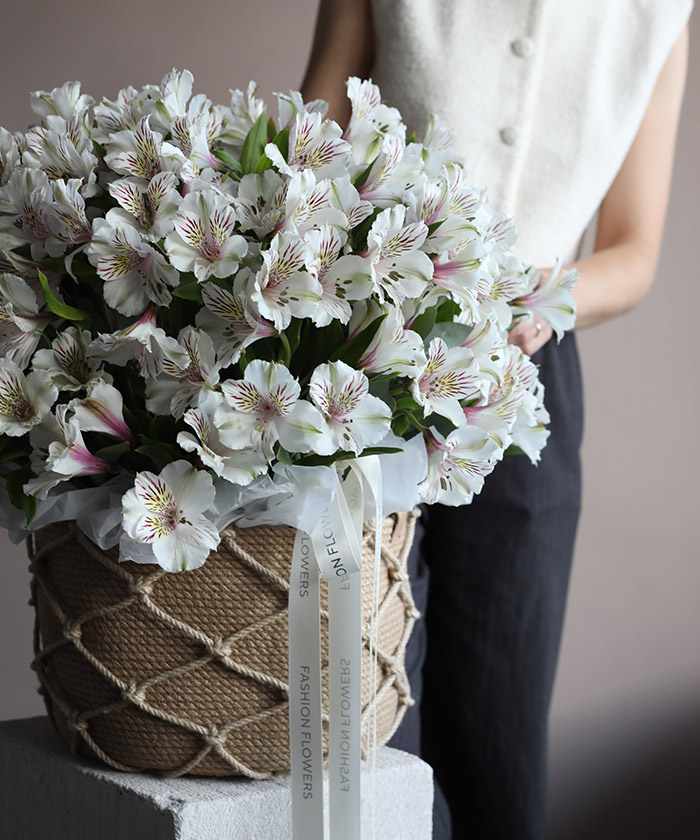 Большая корзина белых альстромерий Гималайя Экстра №3432