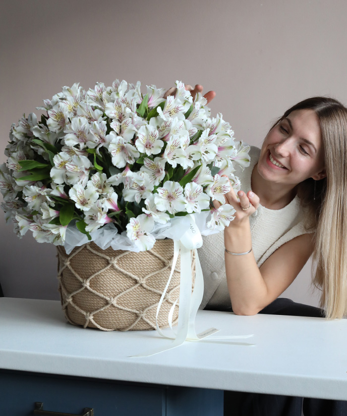 Большая корзина белых альстромерий Гималайя Экстра №3432