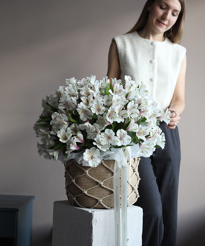 Большая корзина белых альстромерий Гималайя Экстра №3432