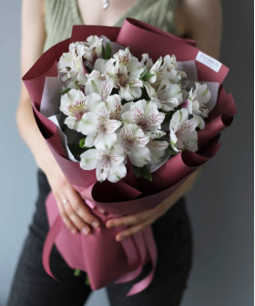 5 белых альстромерий Гималаи №5671