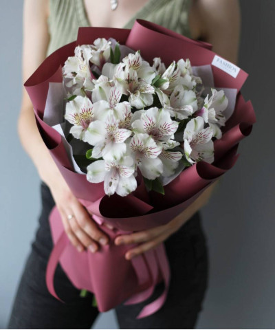 5 белых альстромерий Гималаи №5671