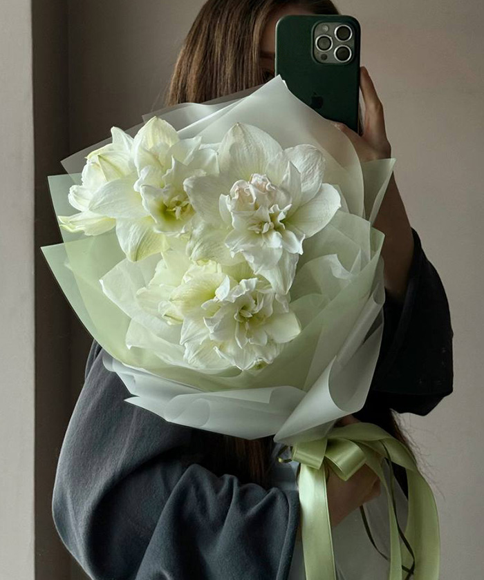 3 белых махровых амариллиса Арктик экстра №7652