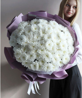 15 белых кружевных хризантем Алтай №4545