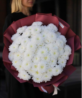 15 белых кружевных хризантем Алтай №2052