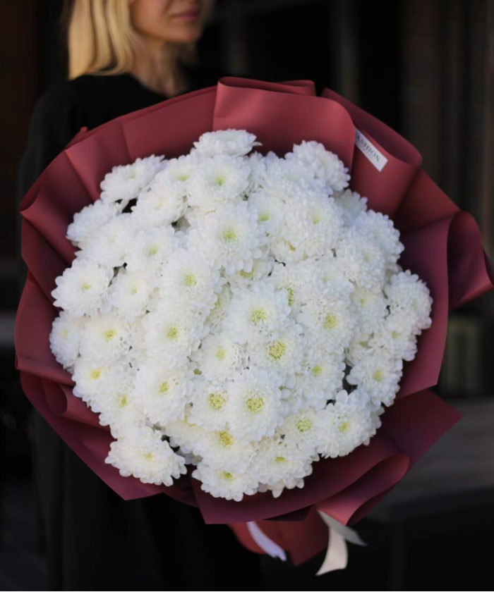 15 белых кружевных хризантем Алтай №2052