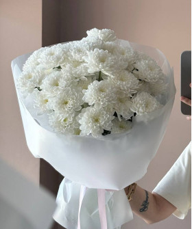 7 белых кустовых хризантем Алтай №4366
