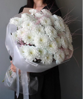 9 белых кустовых хризантем Алтай и стифа №5893