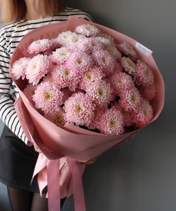 7 розовых кустовых хризантем Алтай пинк №3547