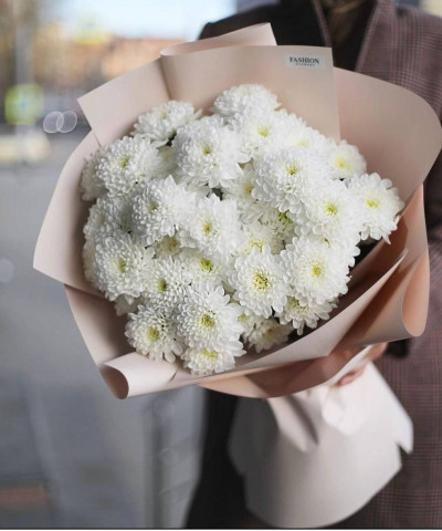 7 кружевных белых хризантем Алтай №5051