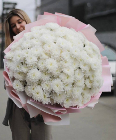35 ажурных белых хризантем Алтай №2657