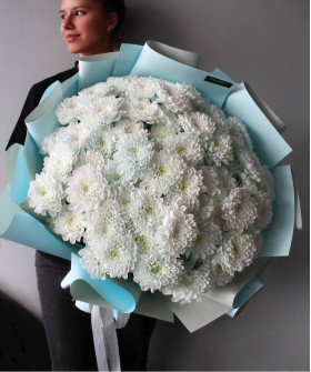 17 белых кустовых хризантем Алтай №2999