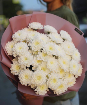 9 белых кустовых хризантем Алтай №2067