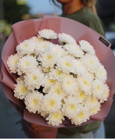 9 белых кустовых хризантем Алтай №2067