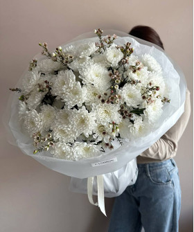 11 белых хризантем и хамелациум в букете "Амбианс" №7434