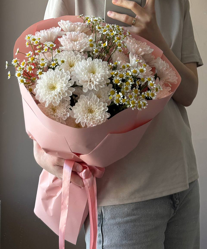 Ромашки и хризантемы Алтай №3468