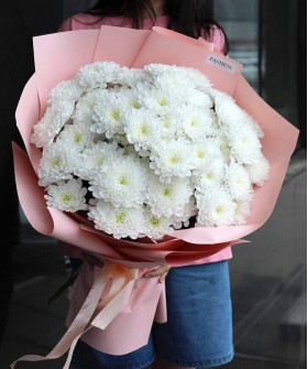 11 кустовых белых хризантем Алтай №1402